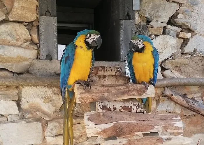 Chaloupka U Montyho Feriehus